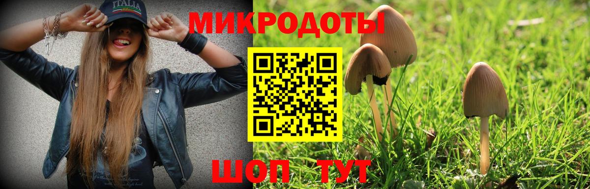 Галлюциногенные грибы мицелий  Галлюциногенные грибы ЛСД  Гатчина  Вход с VPN 